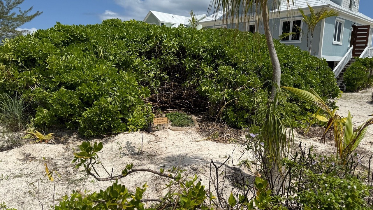 Photo of Outdoor in Spanish Wells