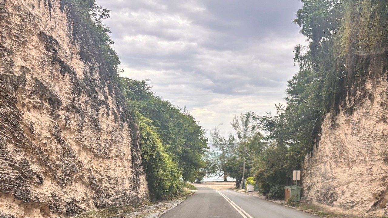 Photo of Others in Gambier
