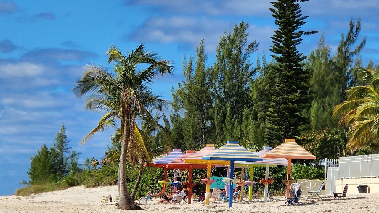 Photo of Others in Discovery Bay
