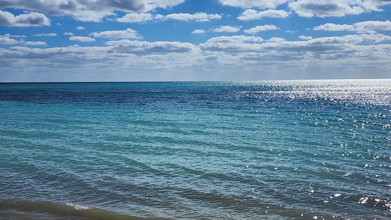 Photo of Others in Discovery Bay