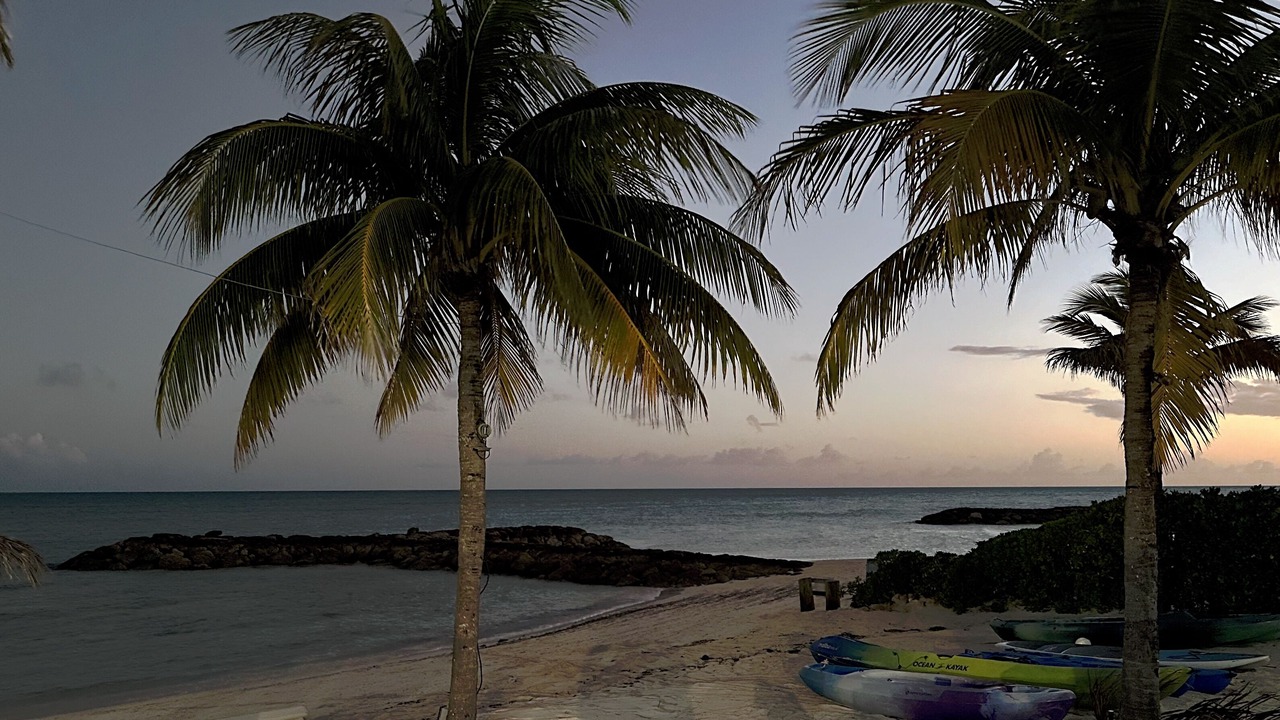Photo of Others in Nassau