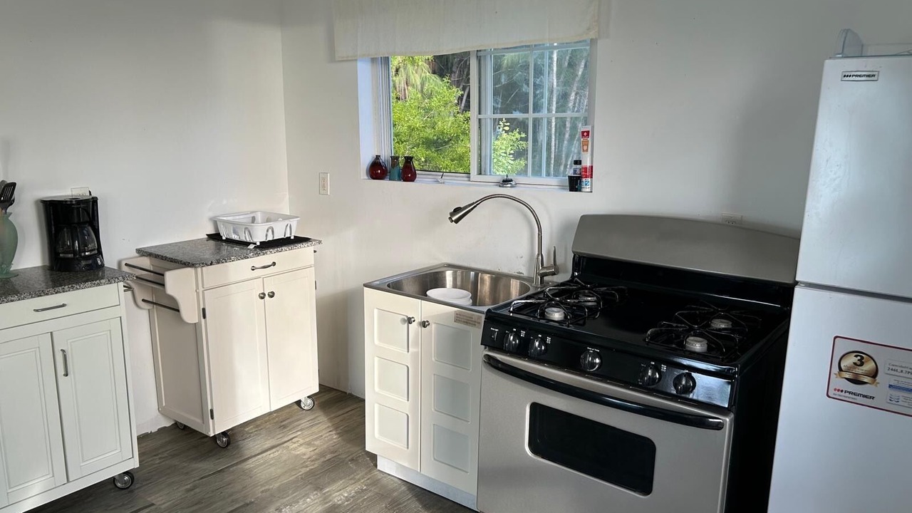 Photo of Kitchen in Andros Town