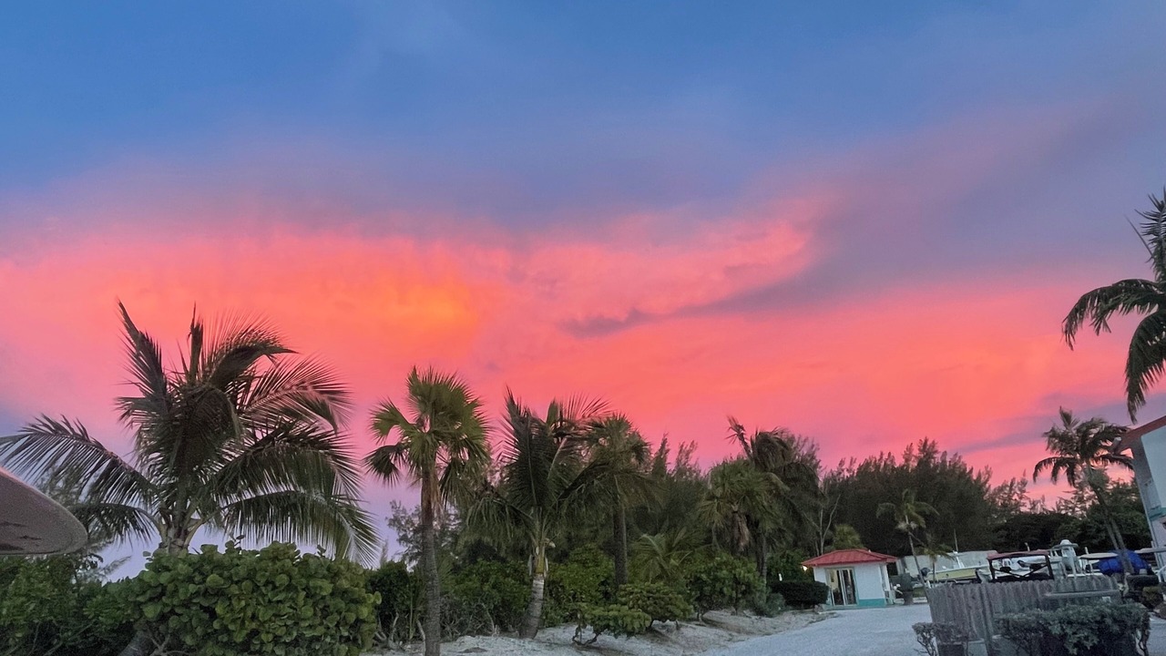 Photo of Others in South Bimini