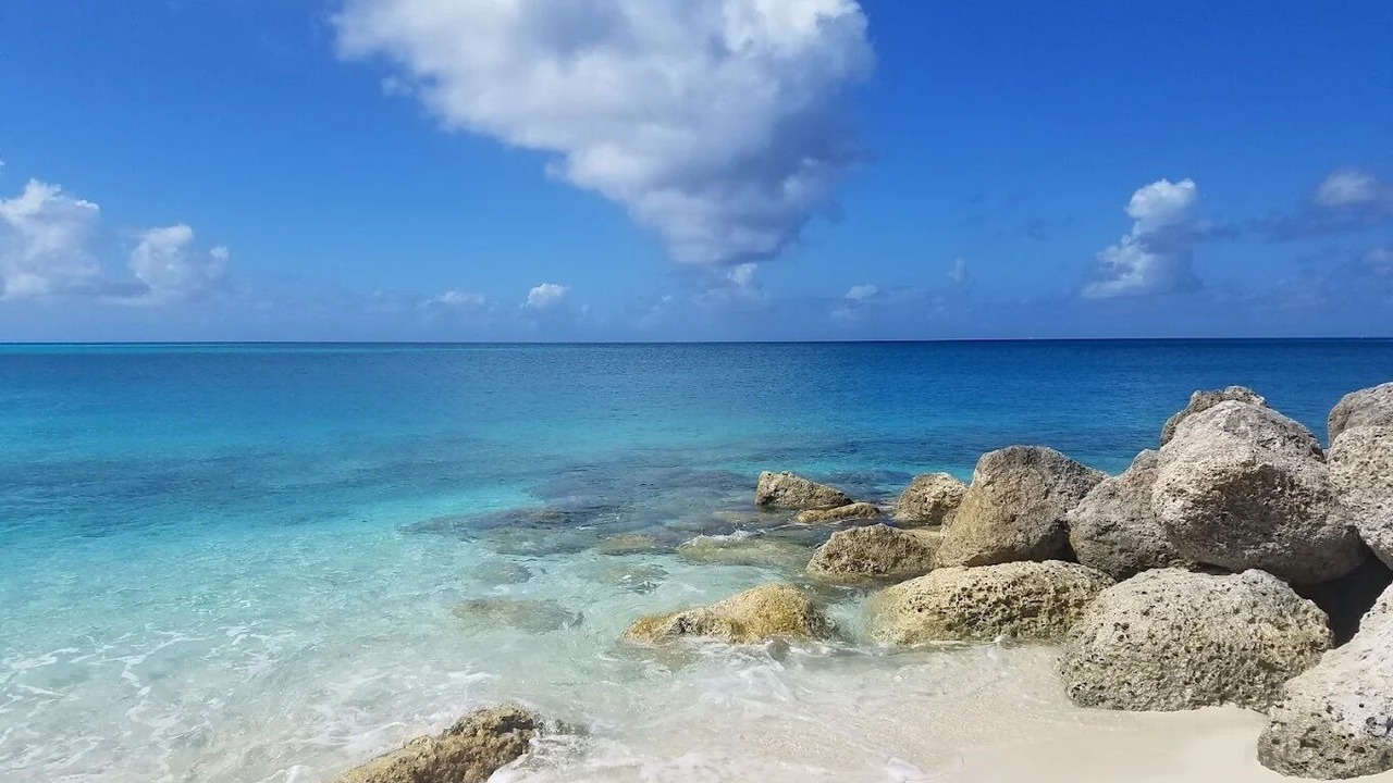 Photo of Others in South Bimini