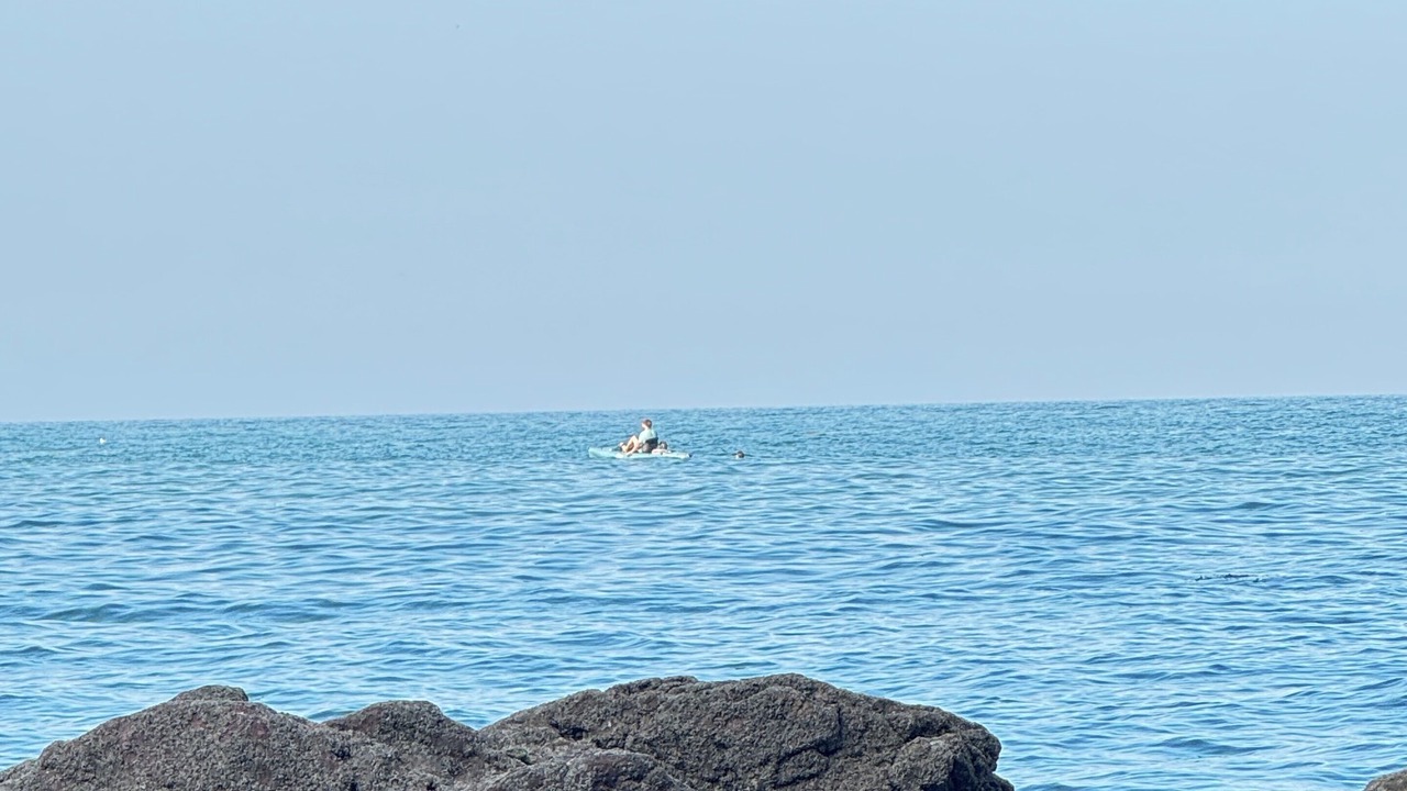 Photo of Others in Babbacombe