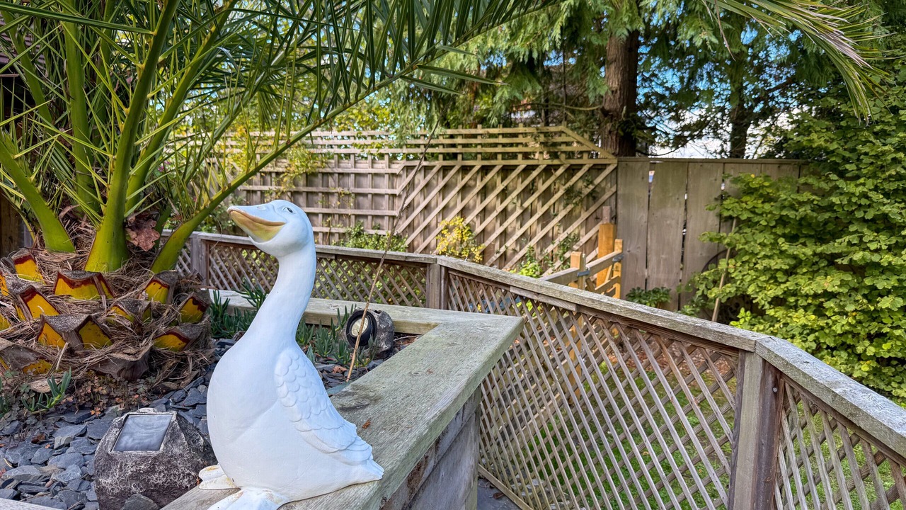 Photo of Outdoor in Ryde