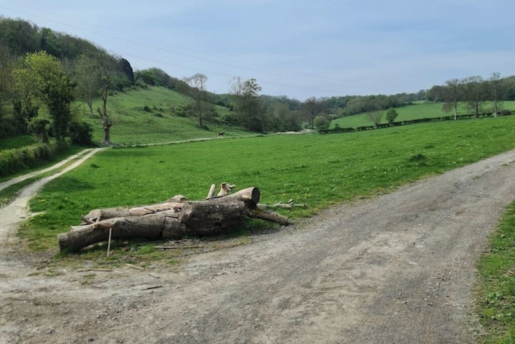 Photo of Others in Offham