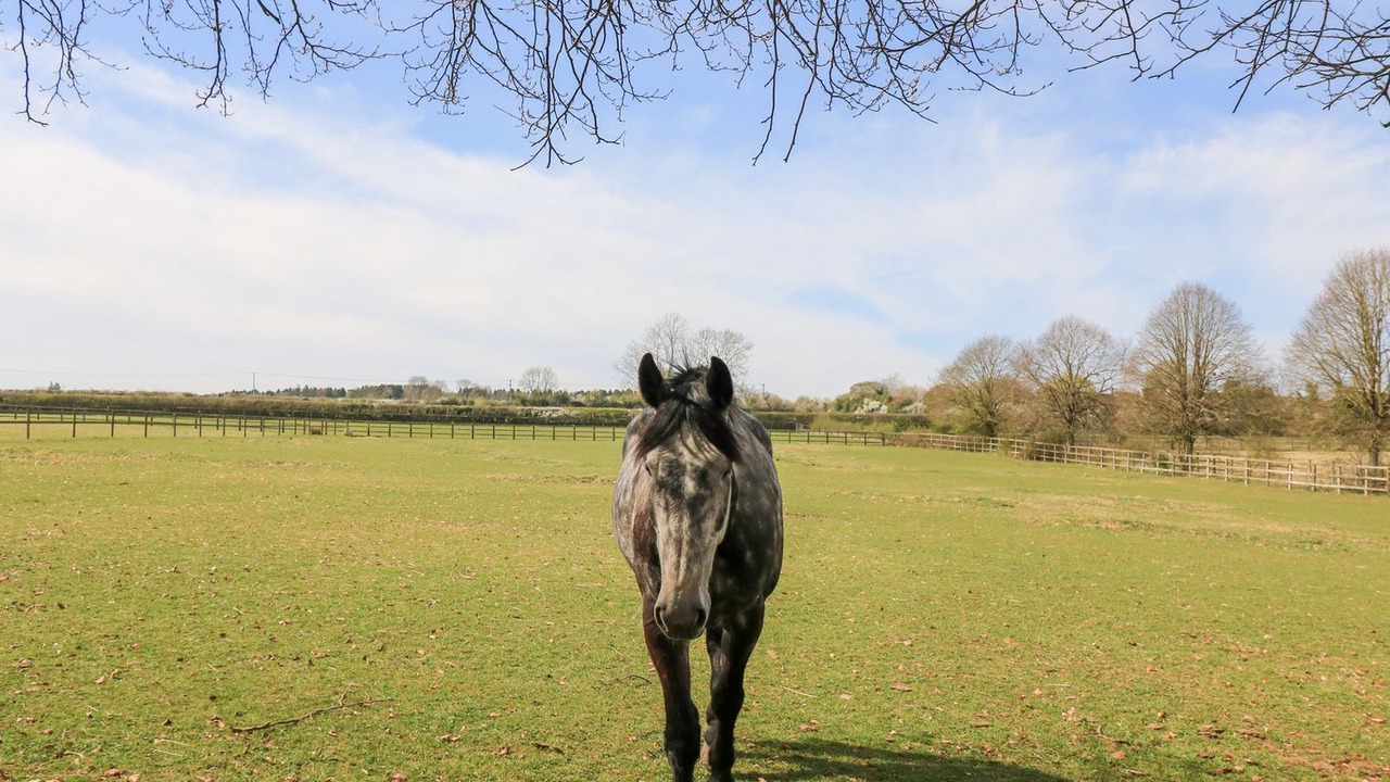 Photo of Others in Cheltenham