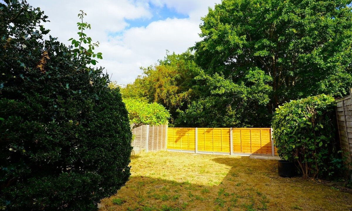 Photo of Outdoor in Lower Shelton