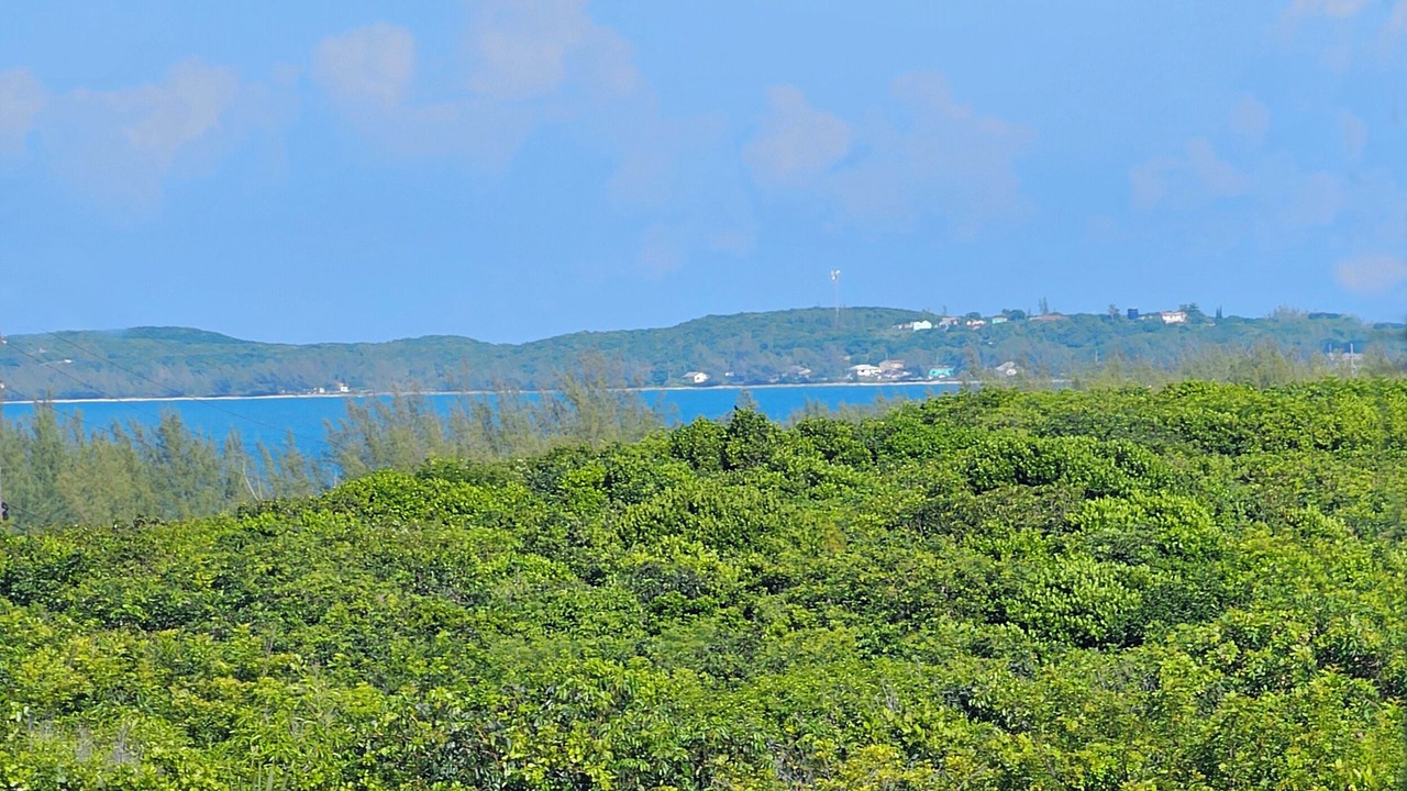 Photo of Others in Governor's Harbour