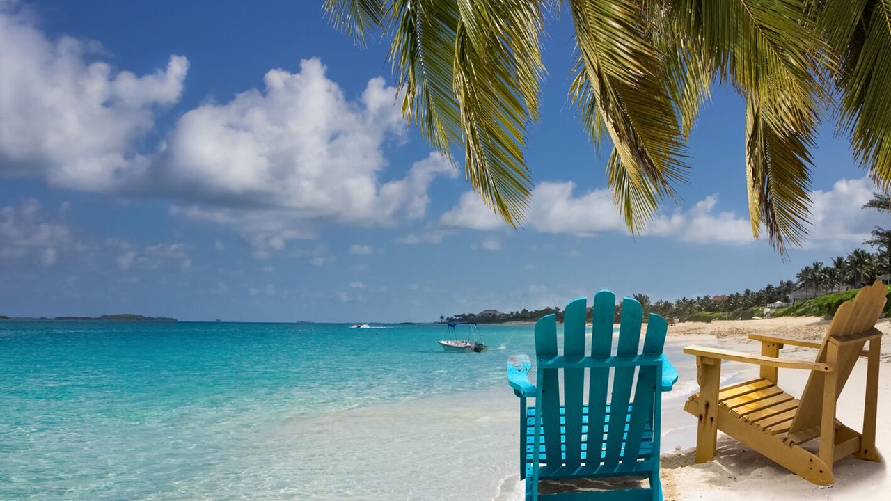 Photo of Others in Palm Cay