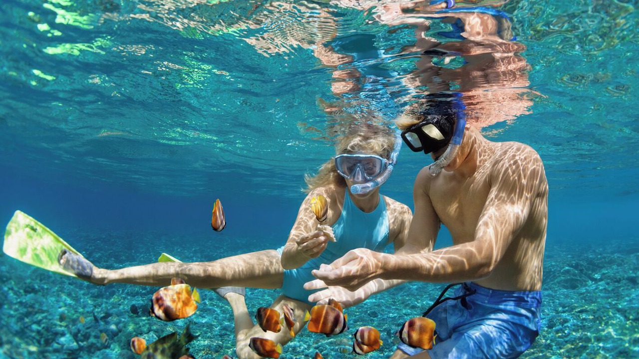 Photo of Others in Palm Cay