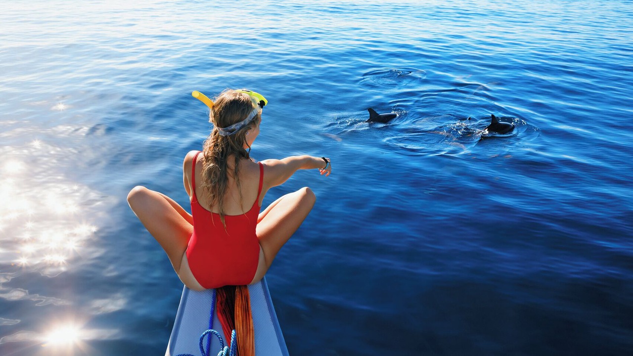 Photo of Others in Lubbers Quarters Cay