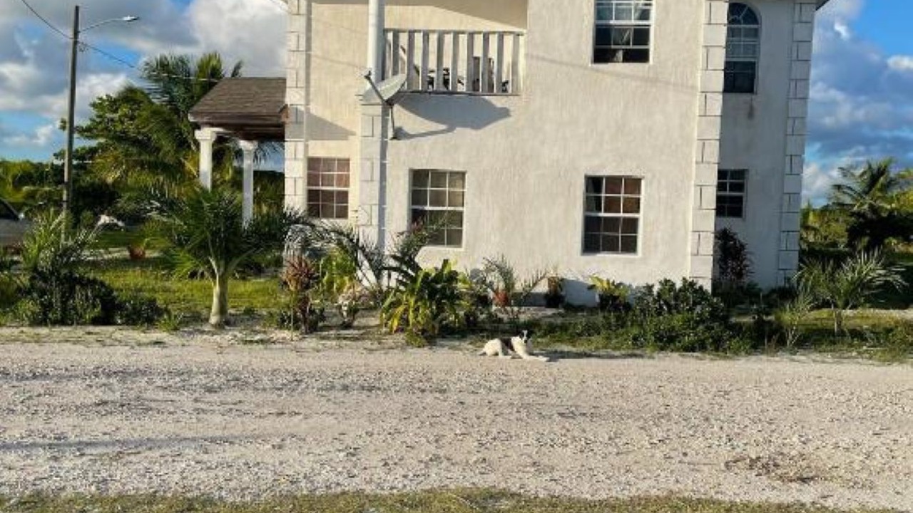 Photo of Outdoor in Rolle Town
