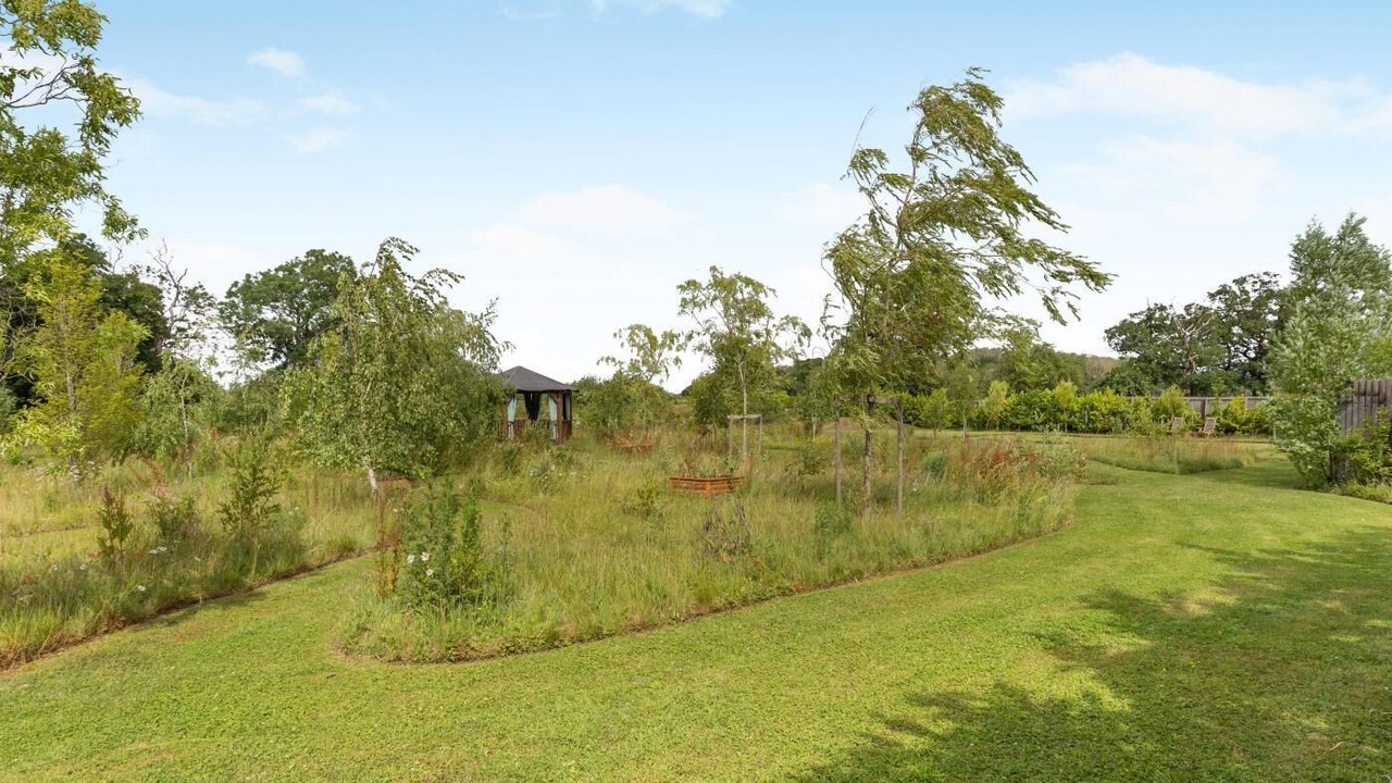 Photo of Outdoor in Newmarket