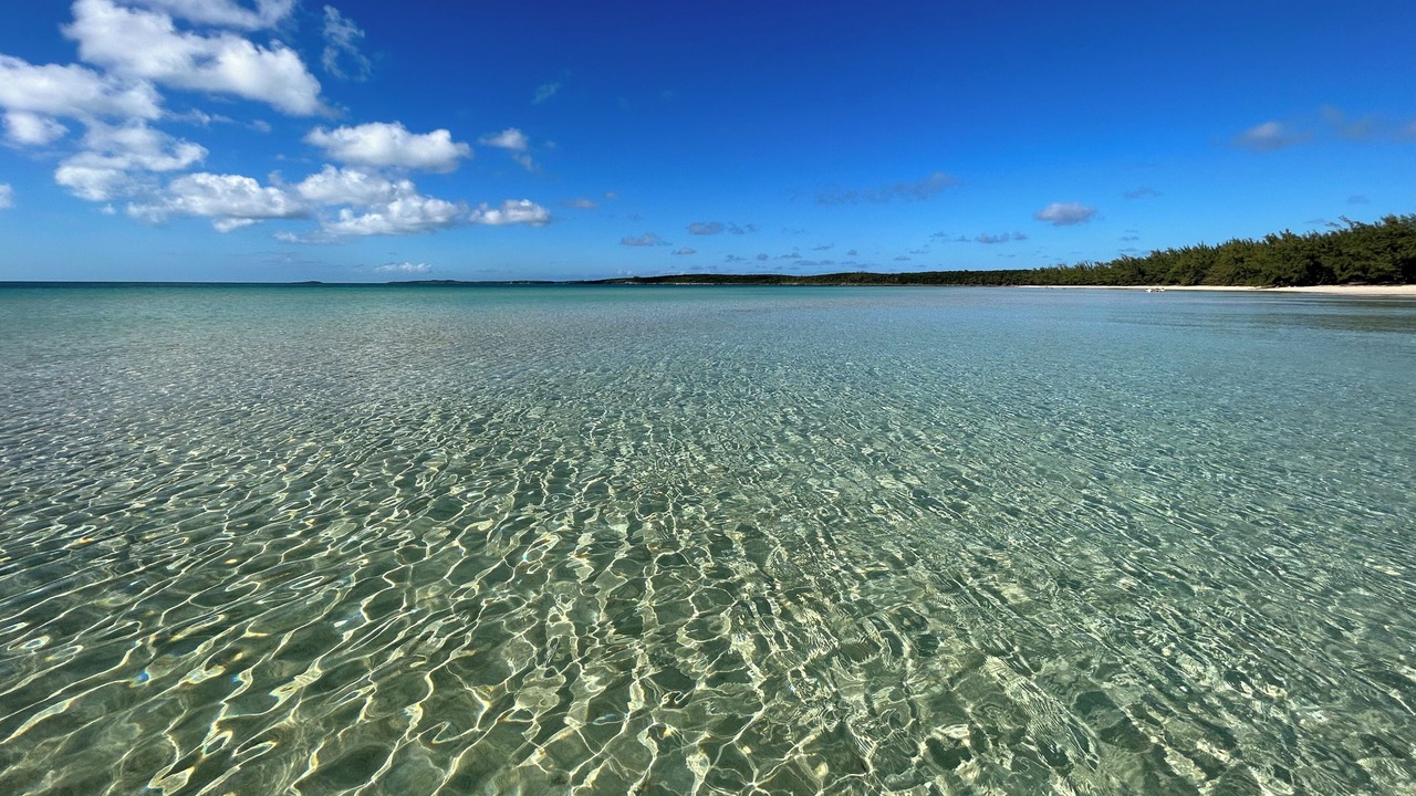 Photo of Outdoor in South Palmetto Point