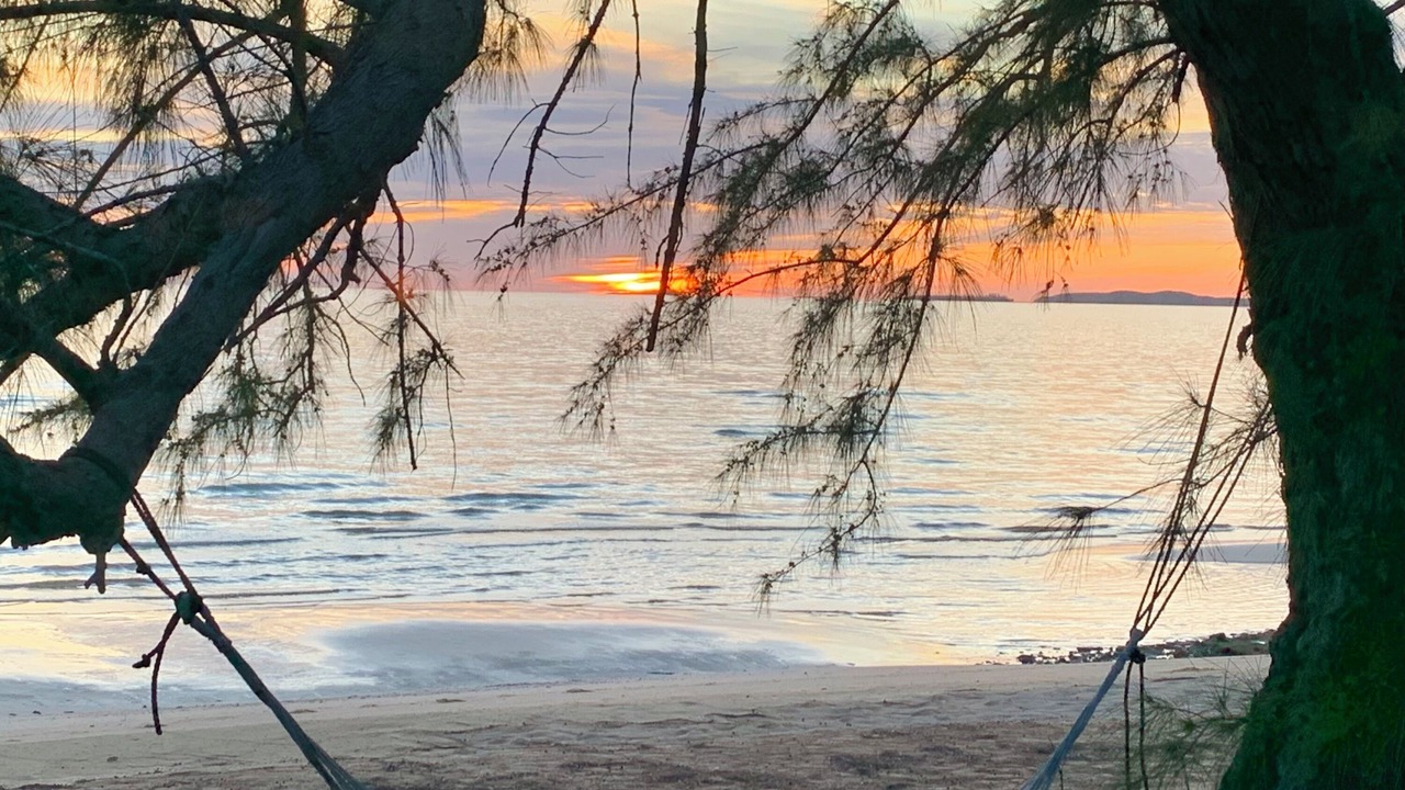 Photo of Others in South Palmetto Point