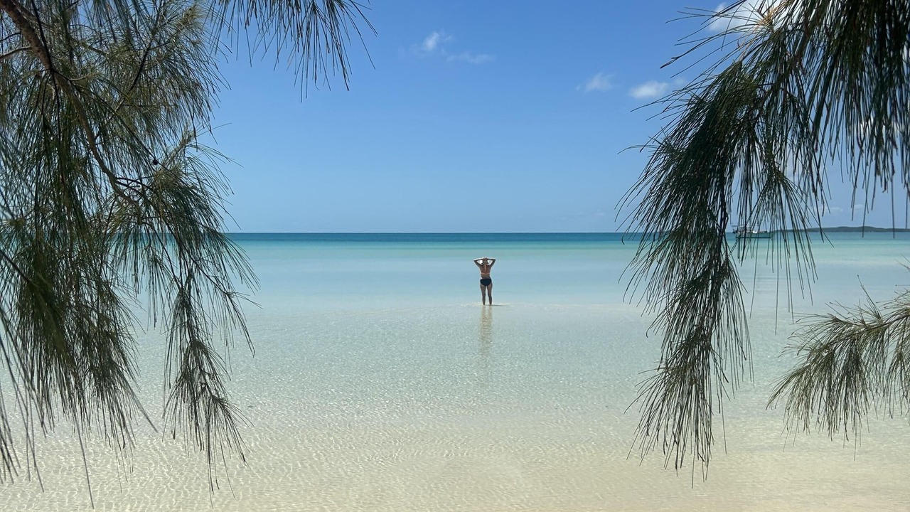 Photo of Others in South Palmetto Point