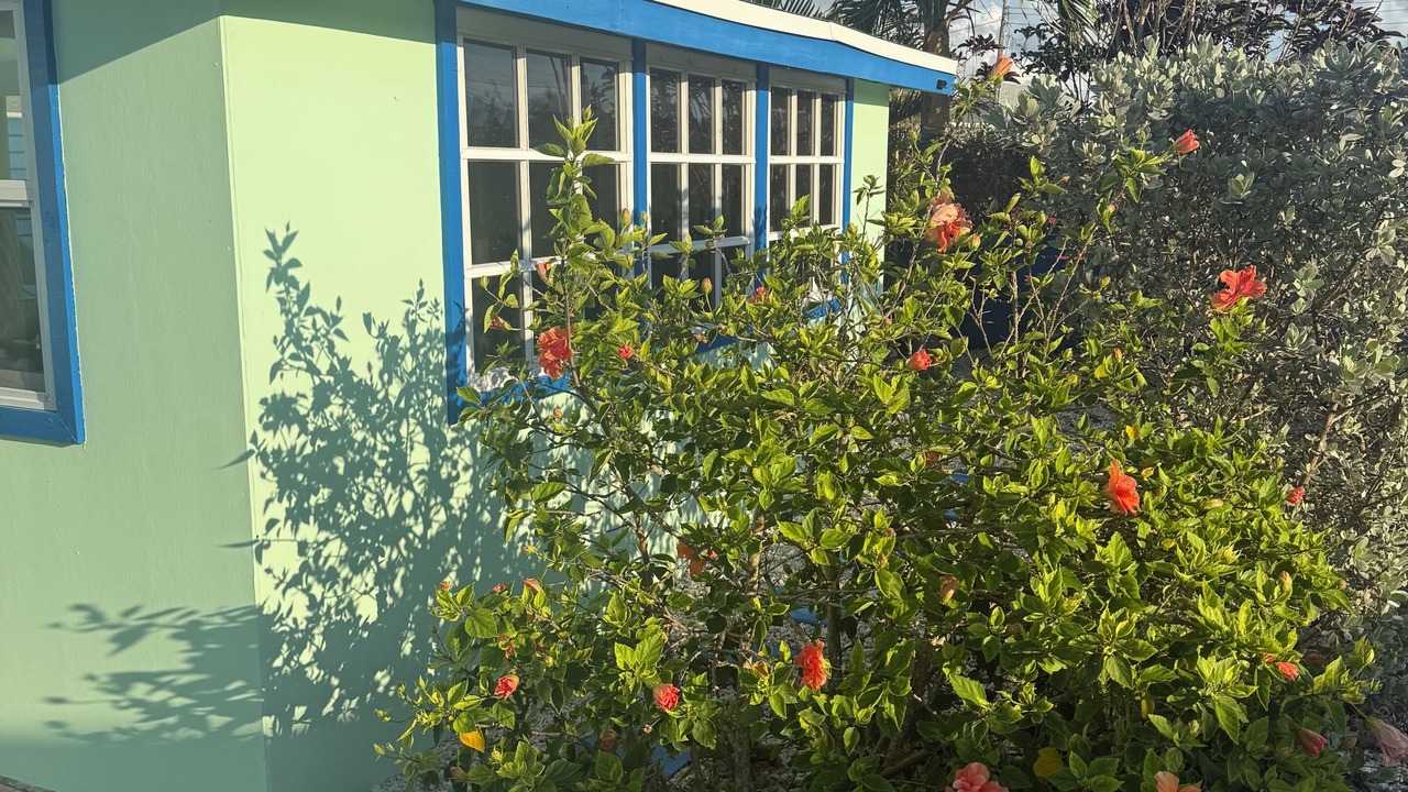 Photo of Outdoor in Treasure Cay