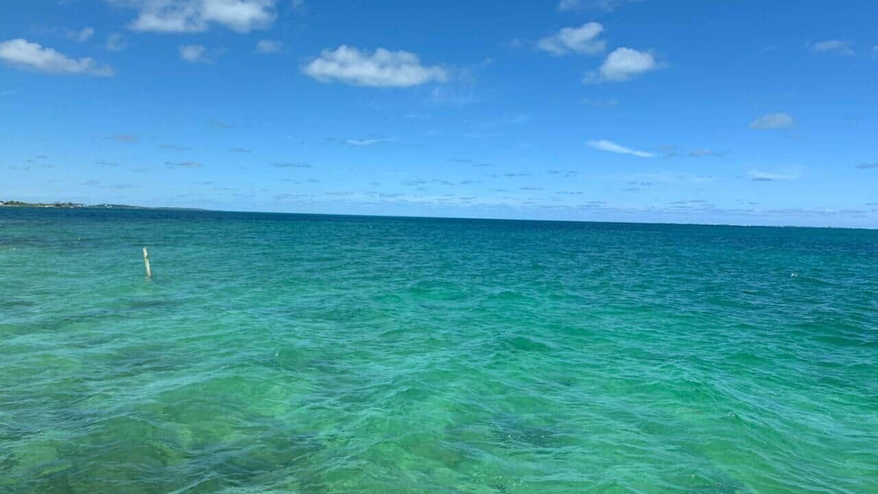 Photo of Others in Lubbers Quarters Cay