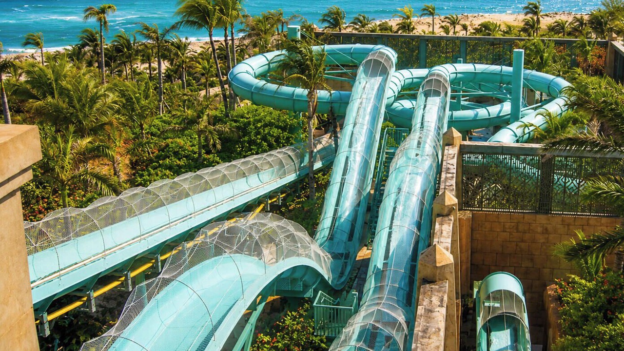 Photo of Others in Paradise Island