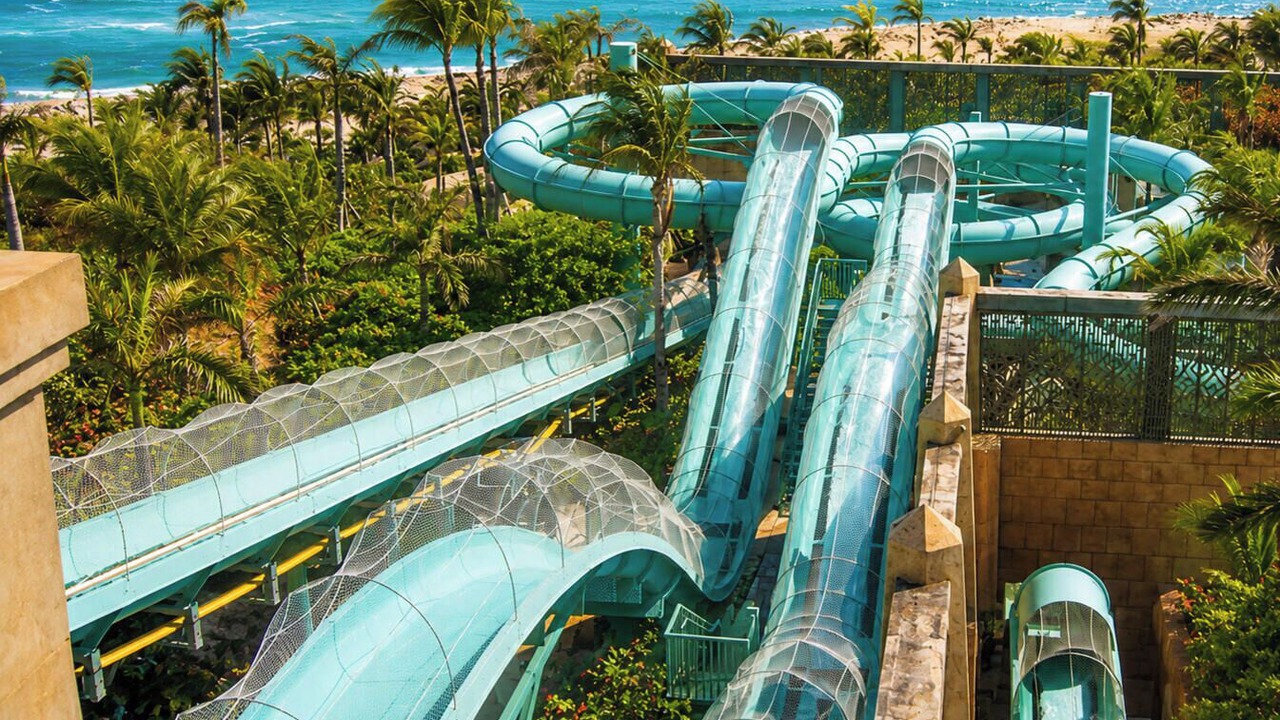 Photo of Others in Paradise Island