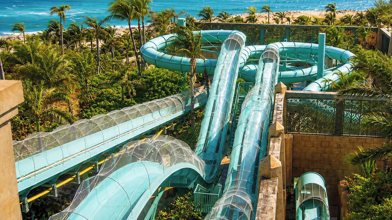 Photo of Others in Paradise Island