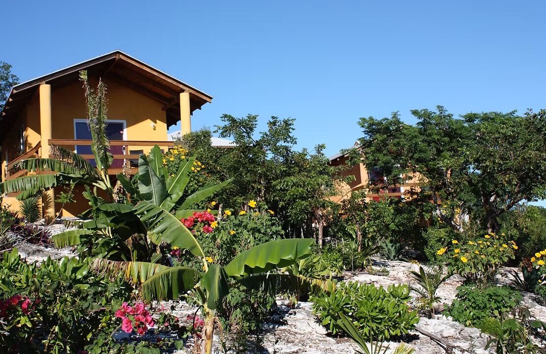 Photo of Outdoor in Orange Creek