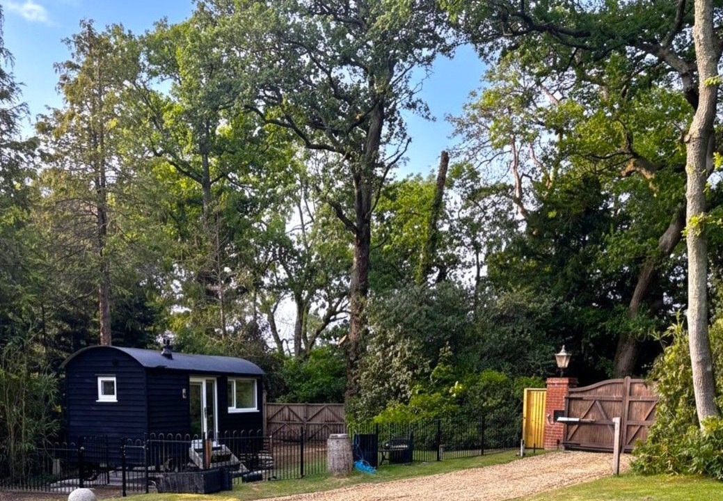 Photo of Outdoor in New Forest District