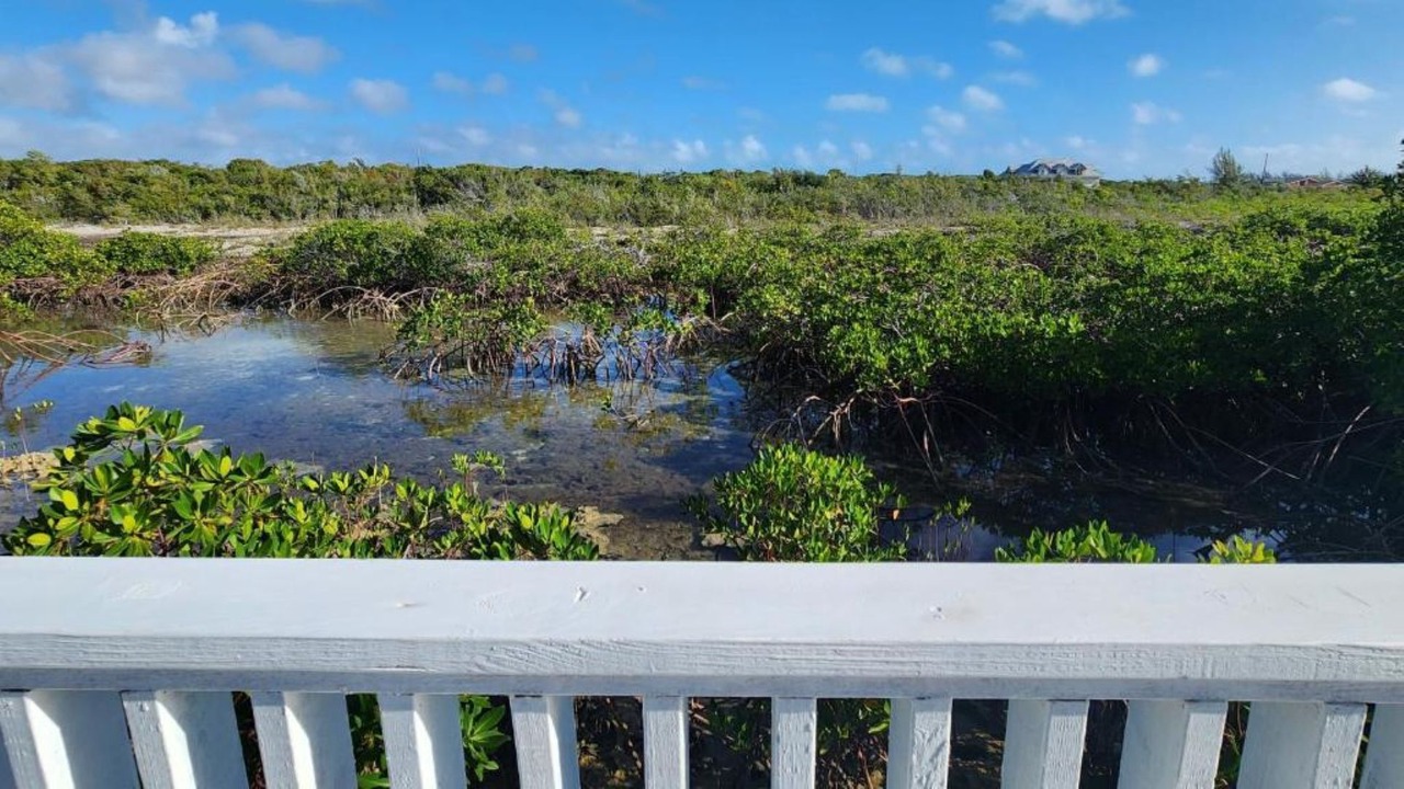 Photo of Outdoor in Rolle Town