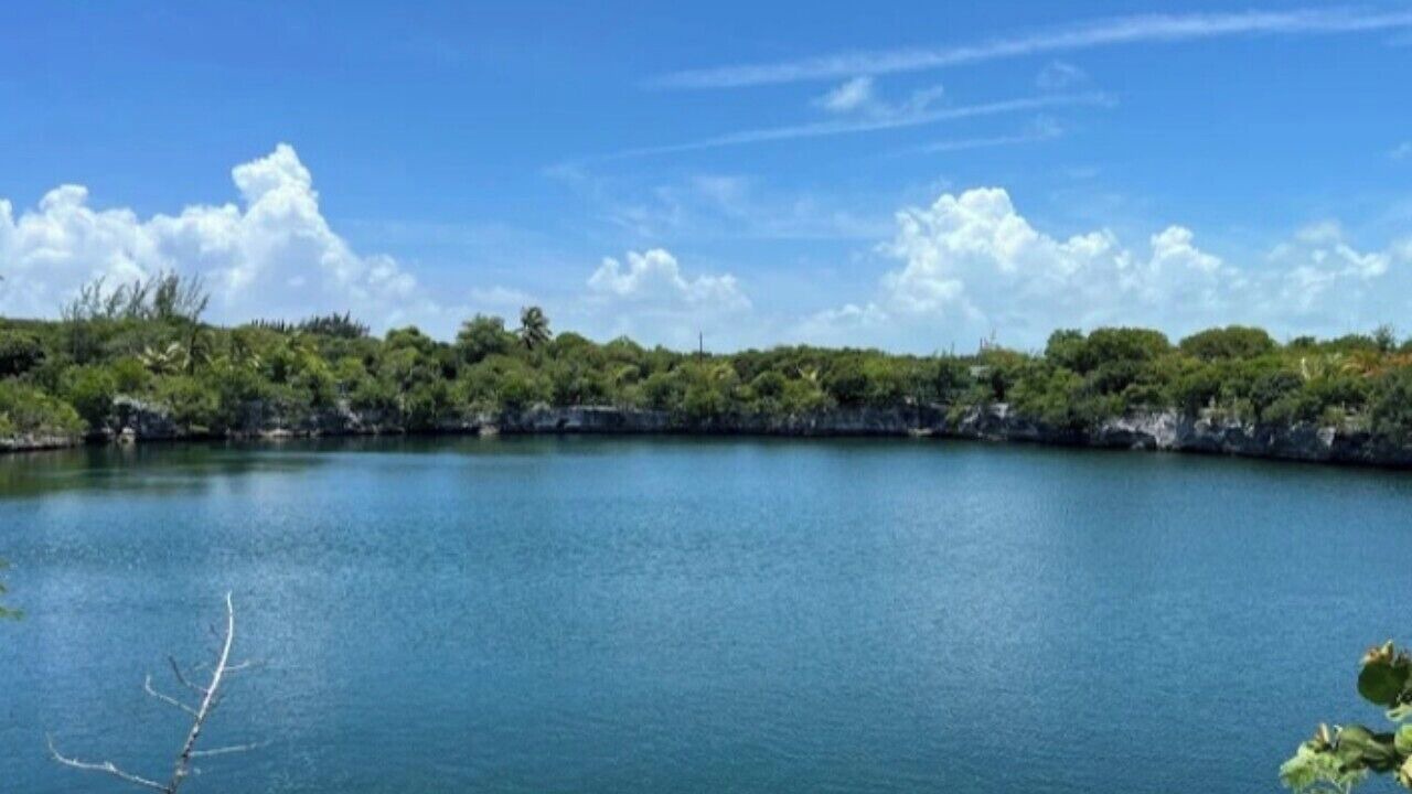 Photo of Others in Tarpum Bay