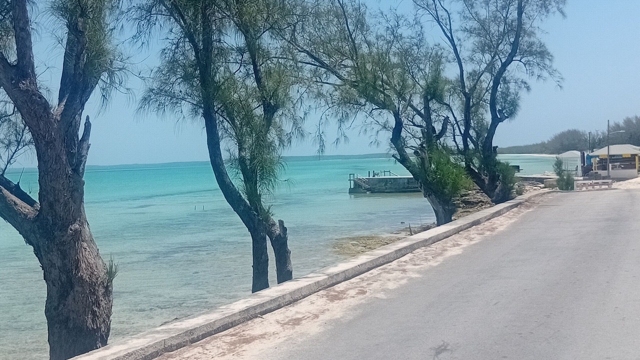 Photo of Others in Tarpum Bay