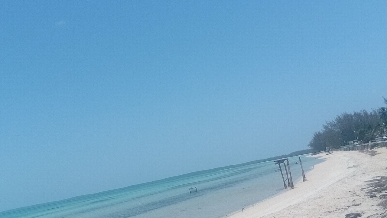 Photo of Others in Tarpum Bay