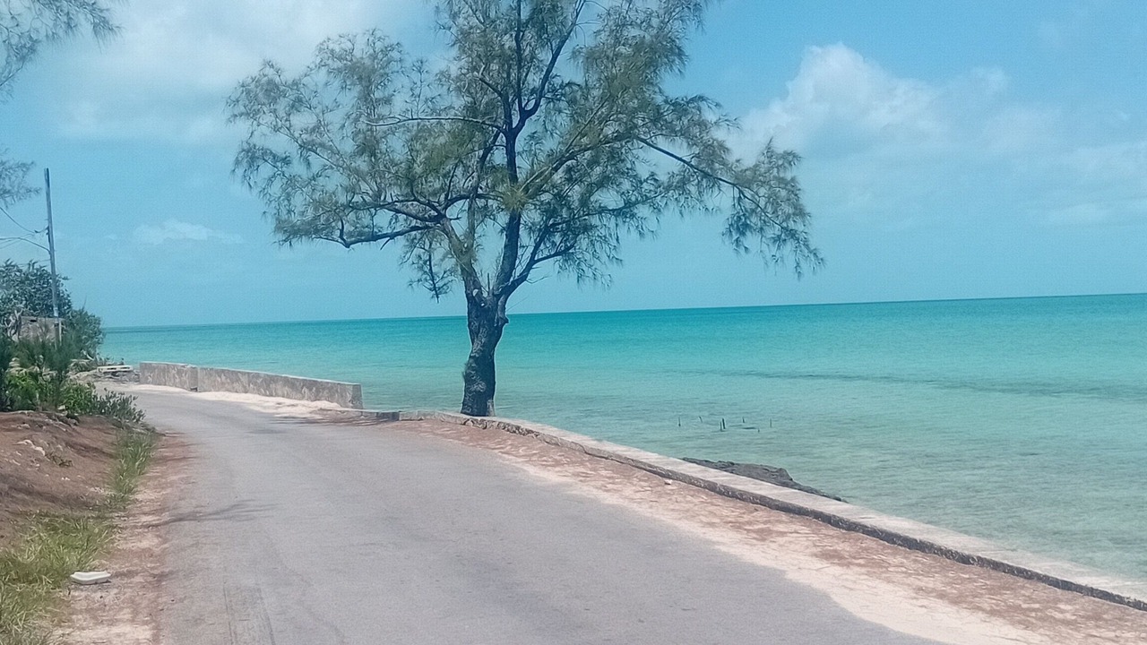 Photo of Others in Tarpum Bay