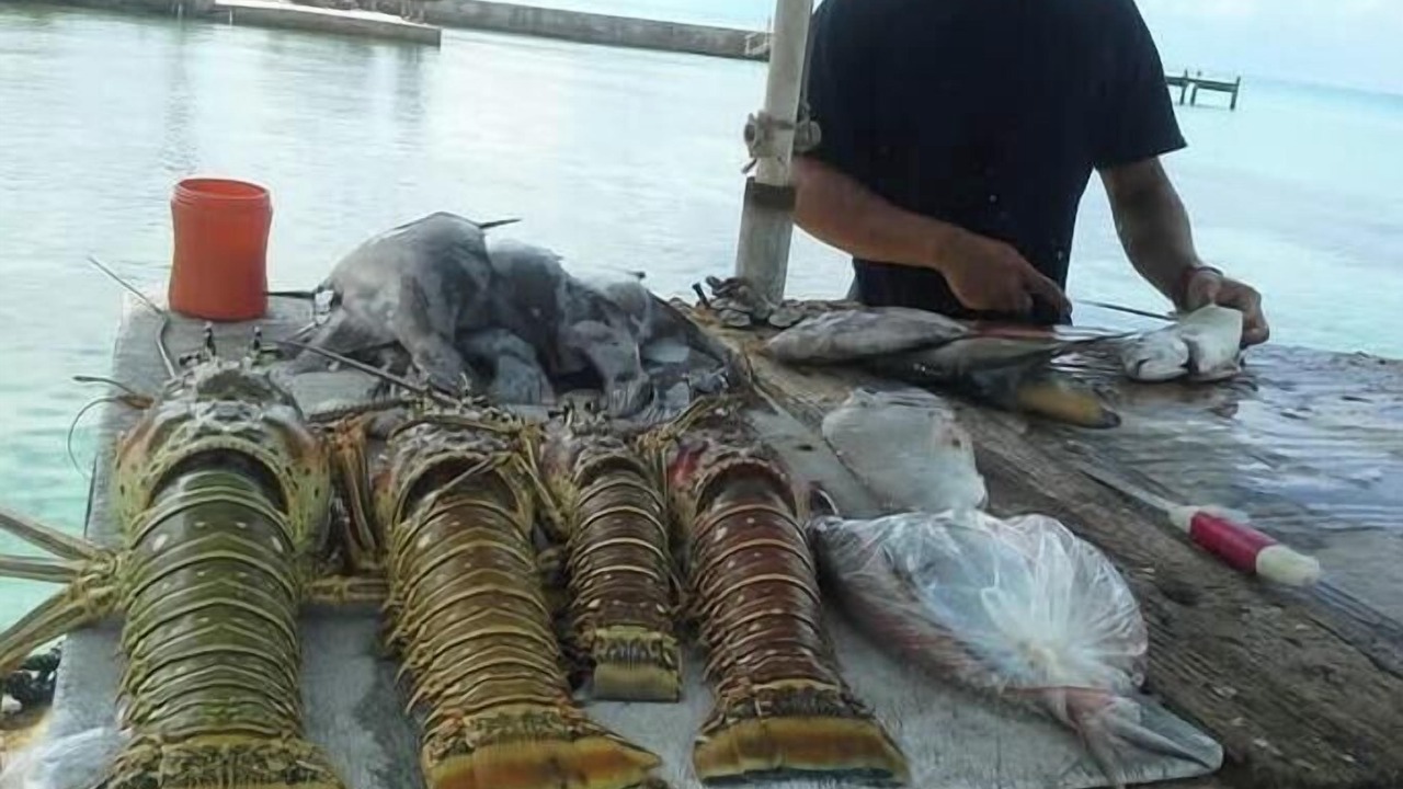 Photo of Others in Tarpum Bay