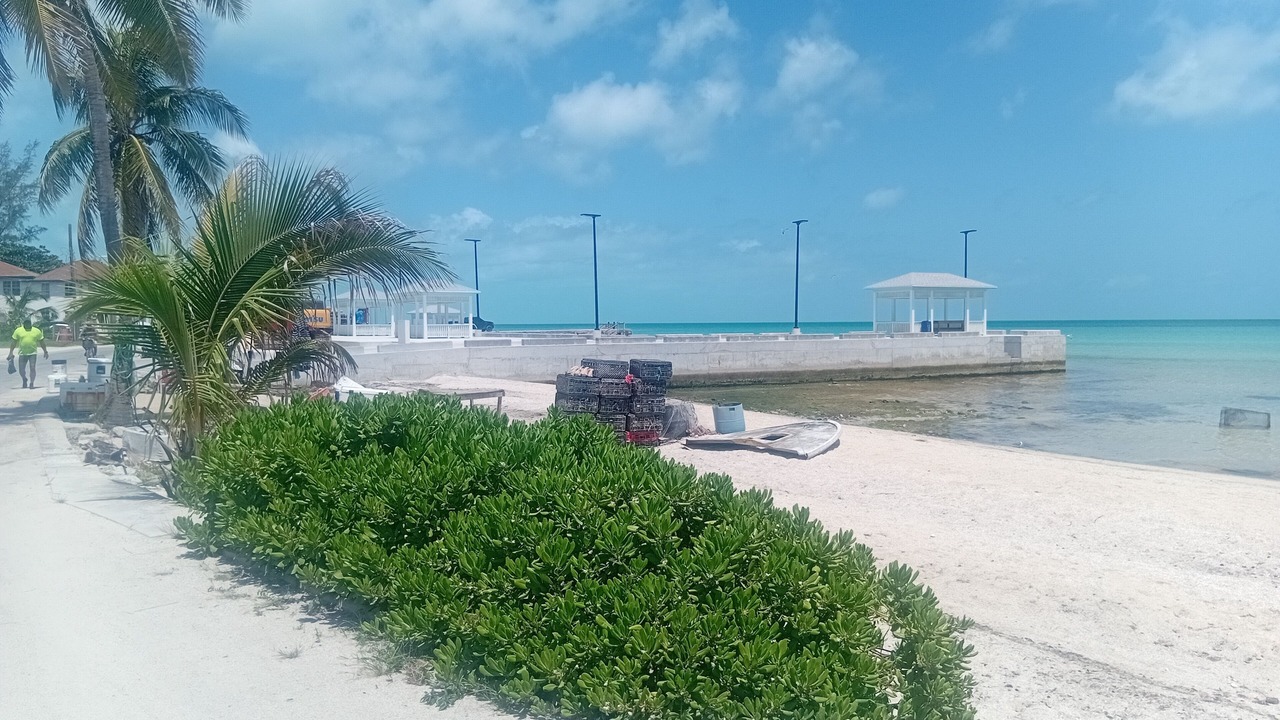 Photo of Others in Tarpum Bay
