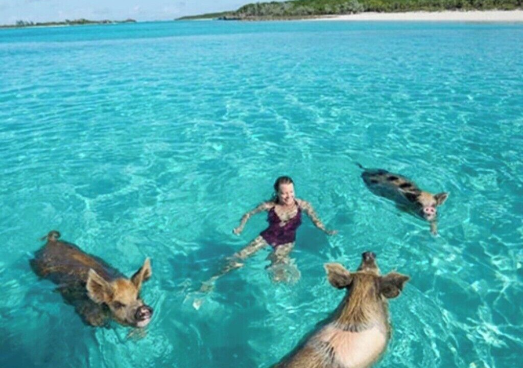 Photo of Others in Tarpum Bay