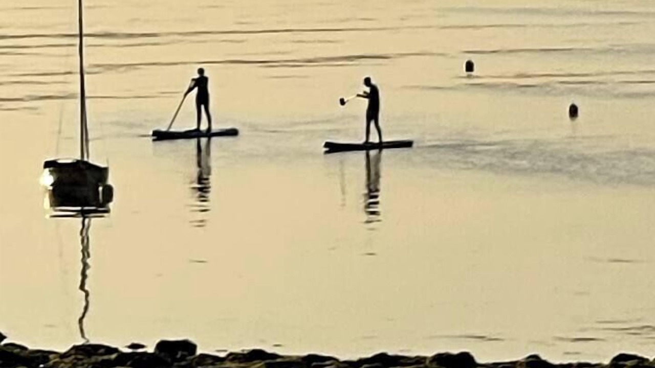 Photo of Others in Seaview