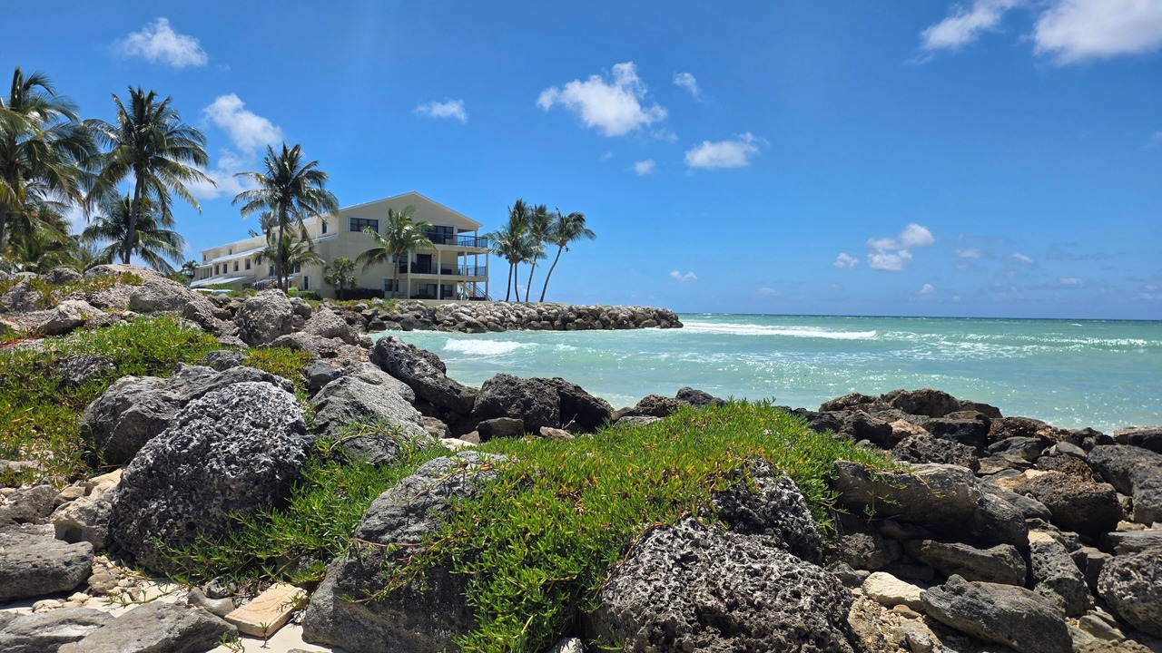 Photo of Others in Bahamas Terrace