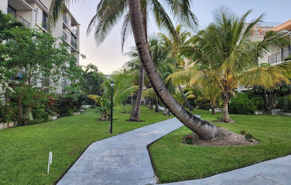 Photo of Outdoor in Williams Town