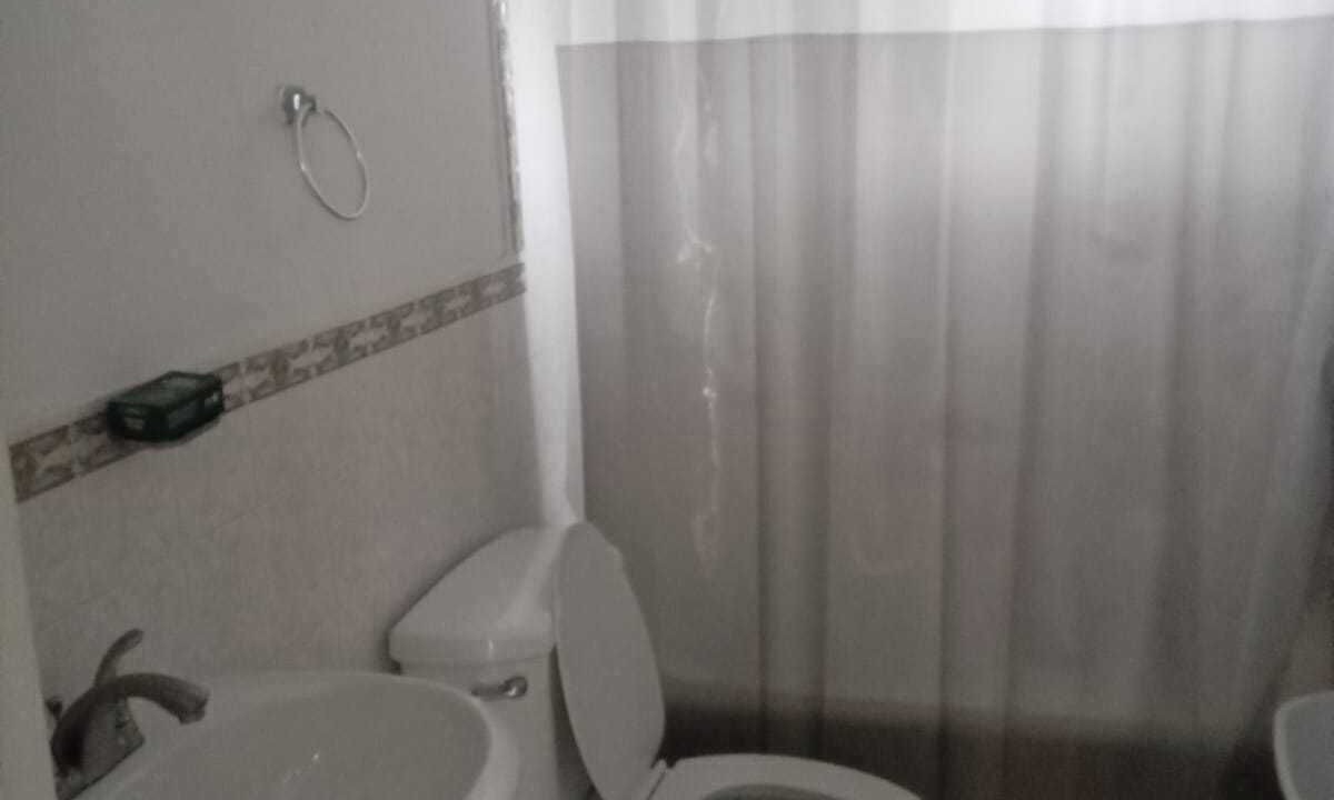 Photo of Bathroom in Andros Town