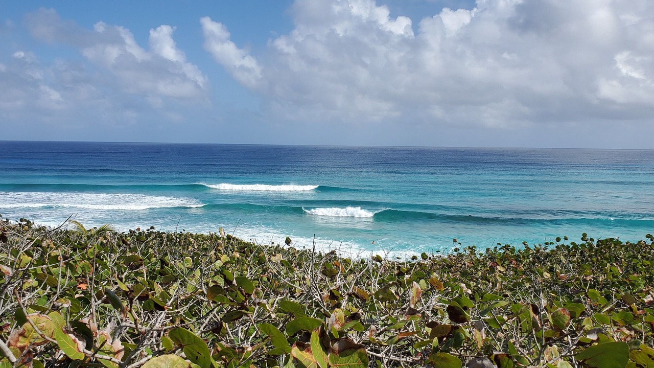 Photo of Others in Winding Bay