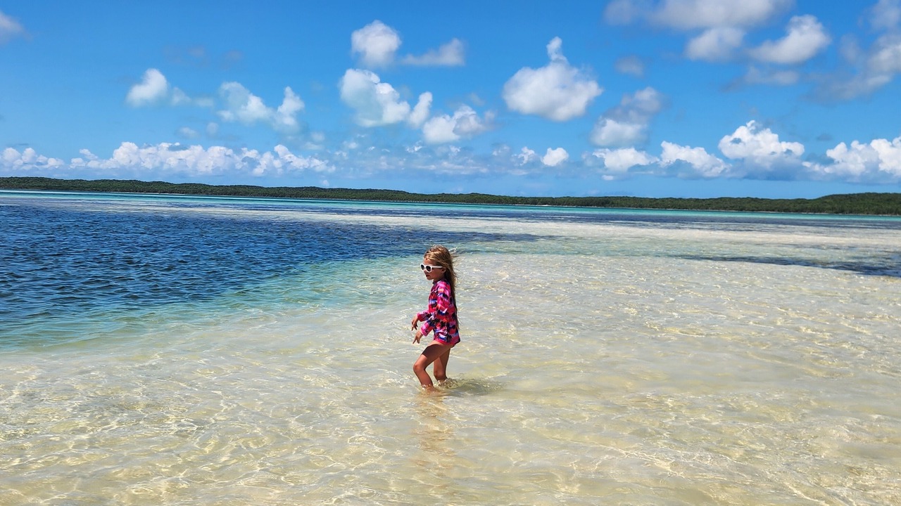 Photo of Others in Winding Bay