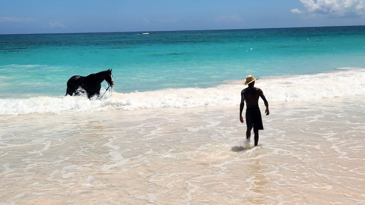 Photo of Others in Winding Bay