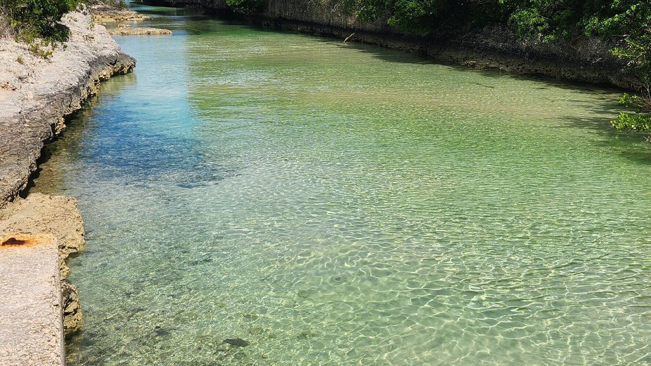Photo of Others in Winding Bay