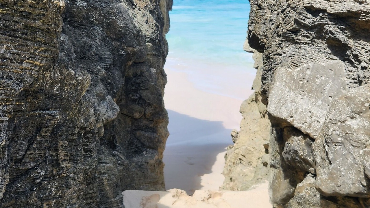 Photo of Others in Winding Bay