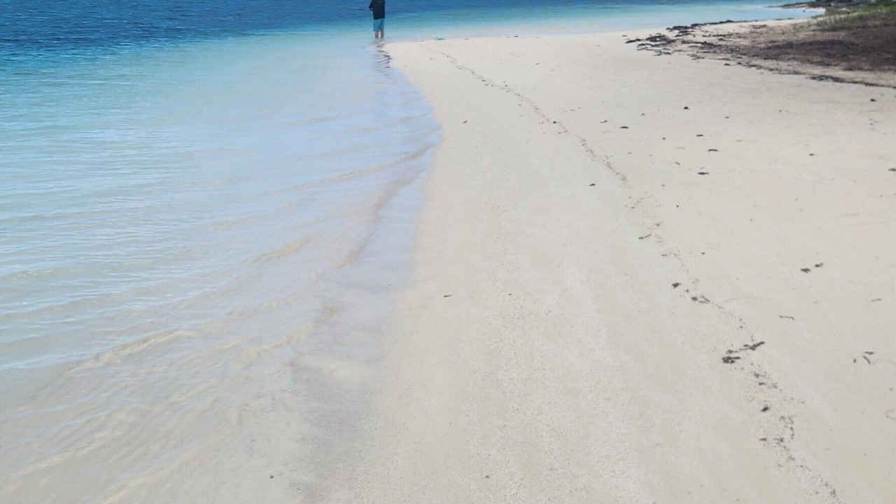 Photo of Others in Winding Bay
