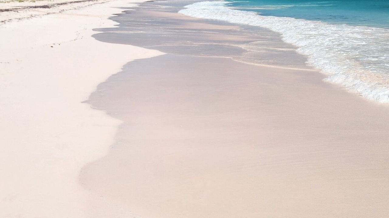 Photo of Others in Winding Bay