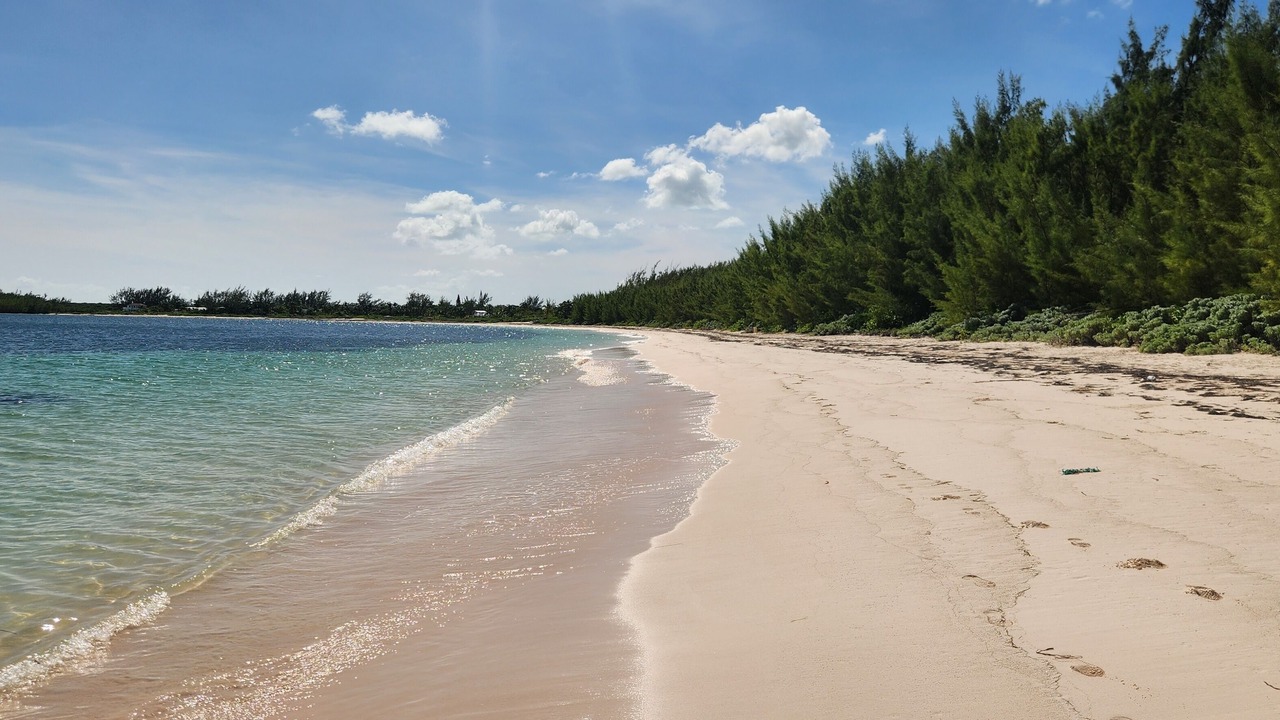 Photo of Others in Winding Bay