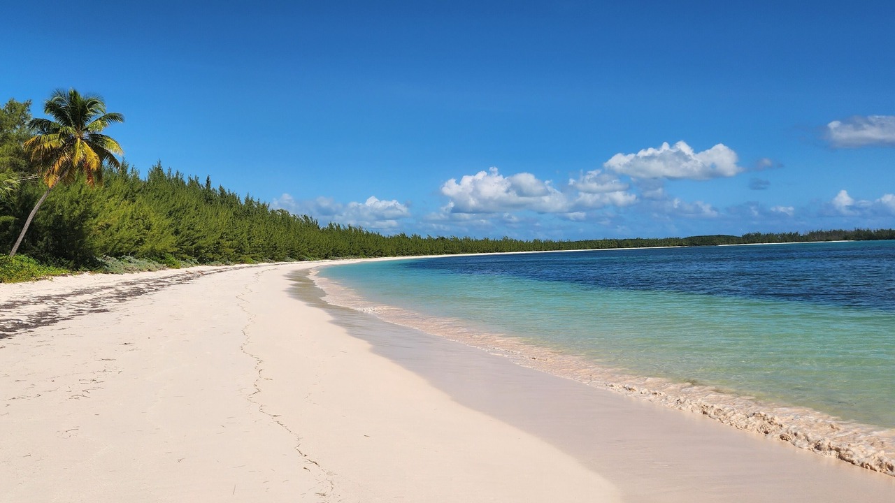 Photo of Others in Winding Bay